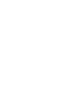 Okapi Aalst